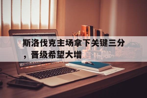 关于斯洛伐克主场拿下关键三分,晋级希望大增的信息
